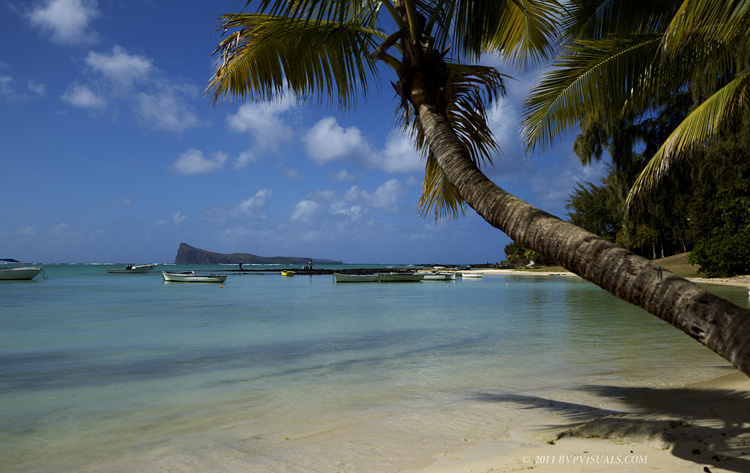 Mauritius Landscape